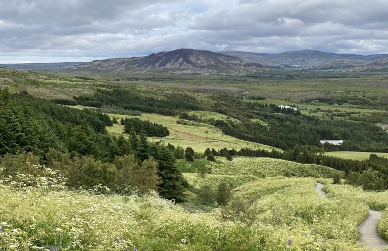 Hikes Near Reykjavik: 9 Trails That Locals Love